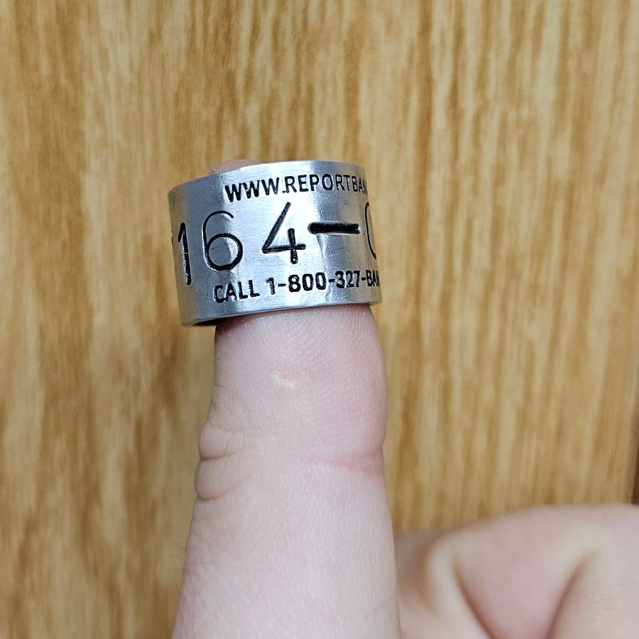 Replica Federal Band