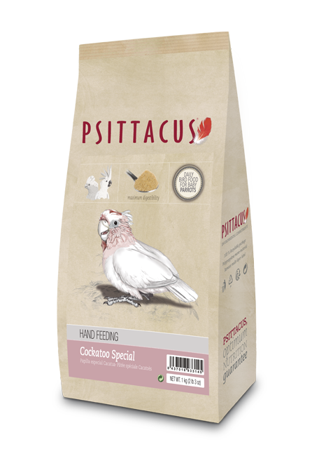 SALE! PSITTACUS Cockatoo Special Handfeeding