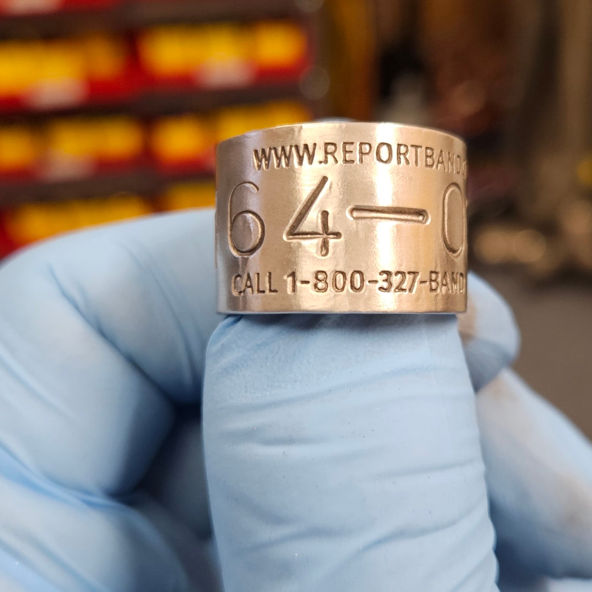 Replica Federal Band