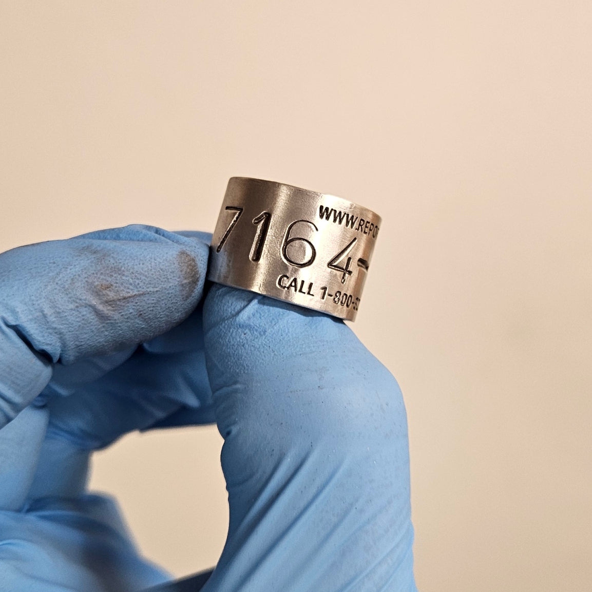 Replica Federal Band