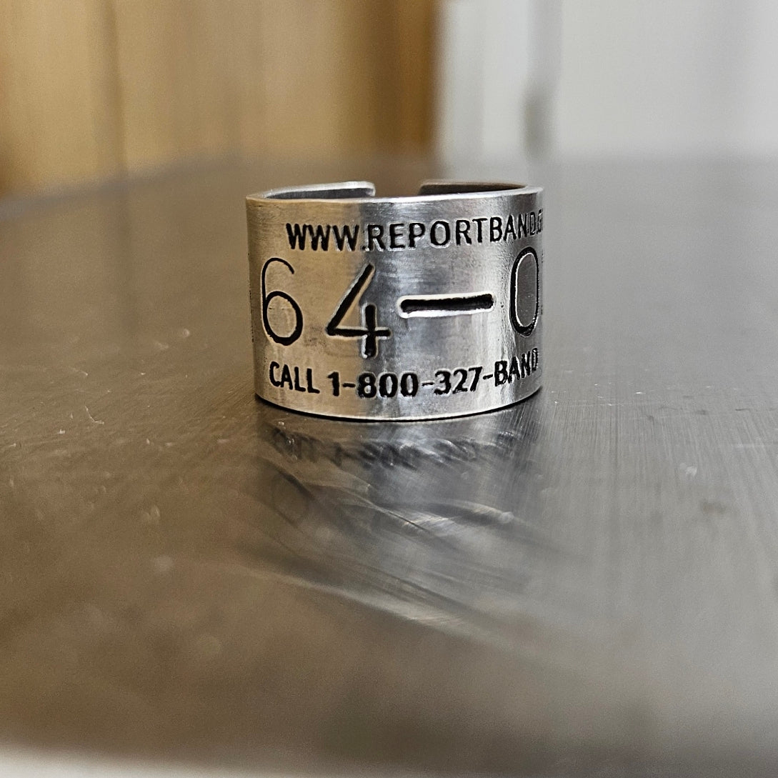 Replica Federal Band