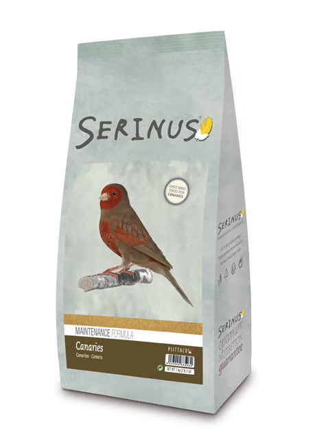 SERINUS Canaries Maintenance