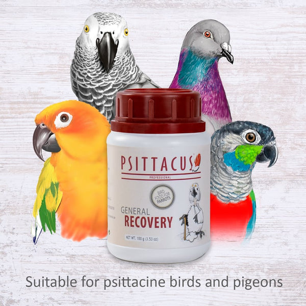 PSITTACUS General Recovery