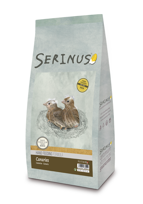 SALE! SERINUS Canaries Handfeeding