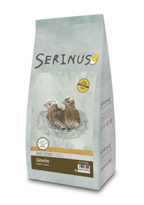 SALE! SERINUS Canaries Handfeeding